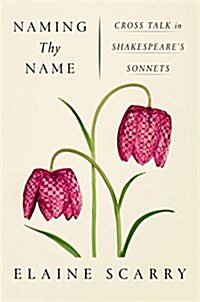 Naming Thy Name: Cross Talk in Shakespeares Sonnets (Hardcover)