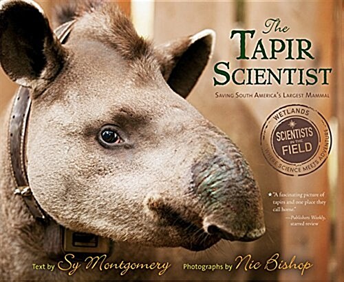 The Tapir Scientist: Saving South Americas Largest Mammal (Paperback)