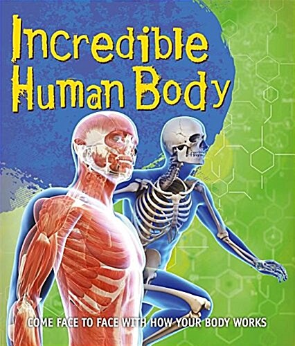 Fast Facts: Incredible Human Body (Paperback)