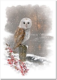 Mini Box: Winter Owl (Other)