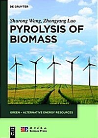 Pyrolysis of Biomass (Hardcover)