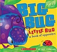 Big Bug, Little Bug: A Book of Opposites (Hardcover)