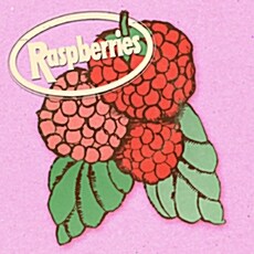 [수입] Raspberries - Classic Album [4CD Box Set]