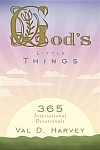 Gods Little Things: 365 Inspirational Devotionals (Paperback)