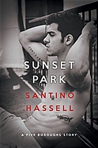Sunset Park (Paperback)