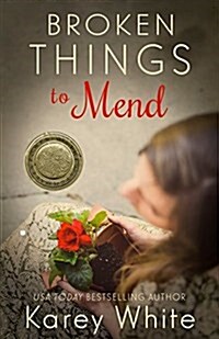 Broken Things to Mend (Paperback)