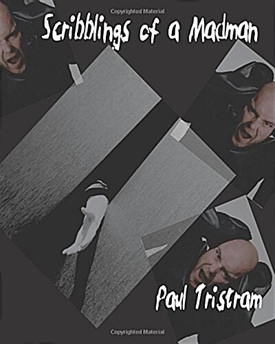 Scribblings of a Madman (Paperback)