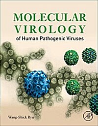 Molecular Virology of Human Pathogenic Viruses (Paperback)