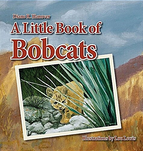 A Little Book of Bobcats (Hardcover)