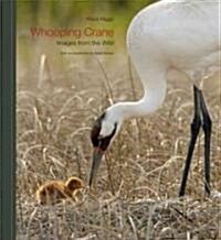 Whooping Crane: Images from the Wild (Hardcover)