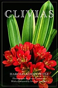 Clivias (Paperback)