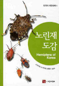 노린재 도감 =Hemiptera of Korea 