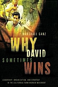 Why David Sometimes Wins: Leadership, Organization, and Strategy in the California Farm Worker Movement (Paperback)