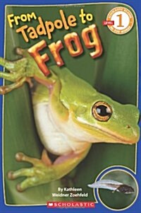 From Tadpole to Frog (Scholastic Reader, Level 1) (Paperback)