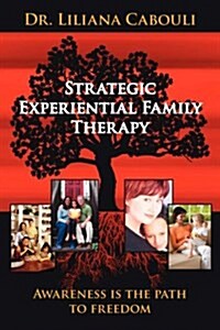 Strategic Experiential Family Therapy (Hardcover)