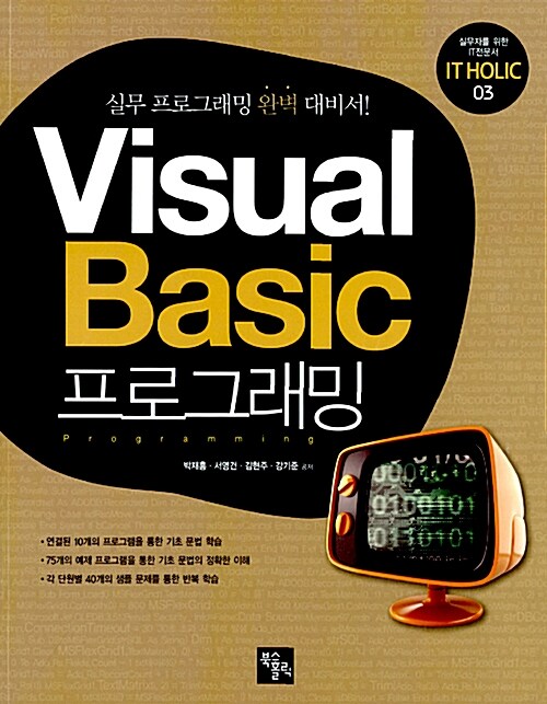 Visaul Basic 프로그래밍