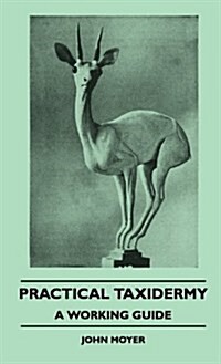 Practical Taxidermy - A Working Guide (Hardcover)