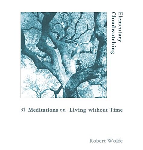 Elementary Cloudwatching: 31 Meditations on Living Without Time (Hardcover)