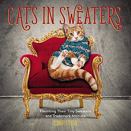 Cats in Sweaters: Flaunting Their Tiny Sweaters and Trademark Attitude (Hardcover)