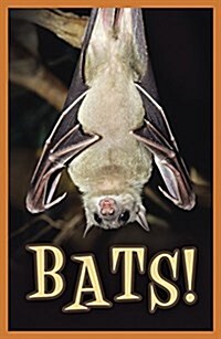 Bats! (KJV 25-Pack) (Paperback)