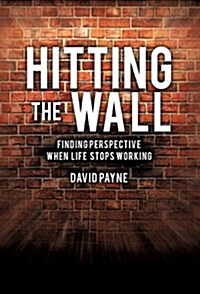 Hitting the Wall (Hardcover)