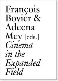 Cinema in the expanded field