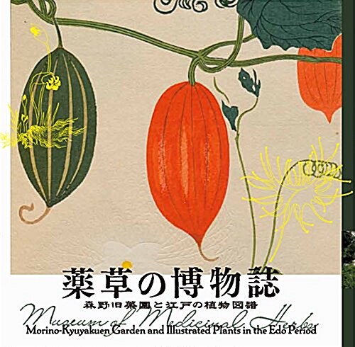 藥草の博物誌 森野舊藥園と江戶の植物圖譜 (LIXIL BOOKLET) (單行本)