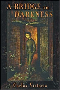 A Bridge In Darkness (Hardcover)