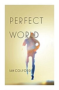 Perfect World (Paperback)