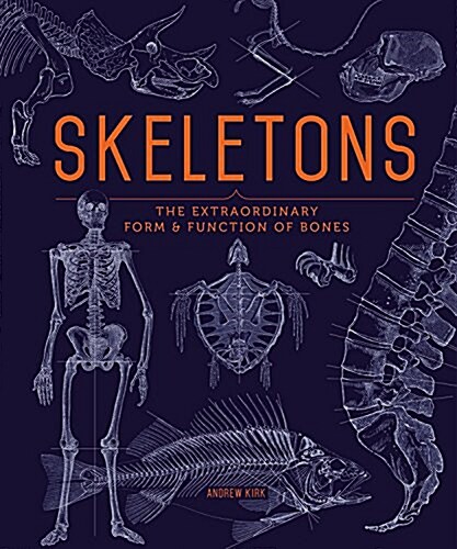Skeletons: The Extraordinary Form & Function of Bones (Hardcover)