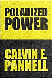 Polarized Power (Paperback)