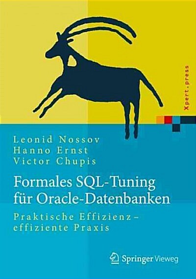 Formales Sql-Tuning F? Oracle-Datenbanken: Praktische Effizienz - Effiziente Praxis (Hardcover, 1. Aufl. 2016)