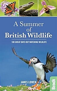 A Summer of British Wildlife : 100 Great Days Out Watching Wildlife (Paperback)