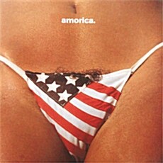 [수입] The Black Crowes - Amorica [180g 2LP]