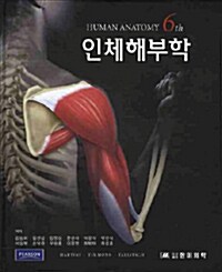 인체해부학