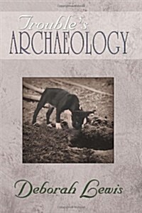 Troubles Archaeology: Poems (Paperback)