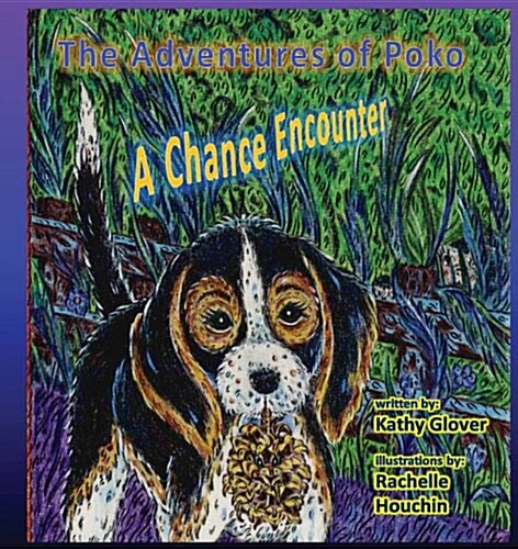 The Adventures of Poko - A Chance Encounter (Paperback)