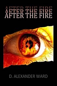 After the Fire (Paperback)