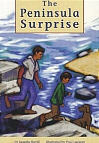 The Peninsula Surprise (Paperback)