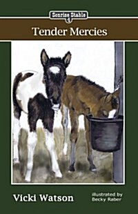 Sonrise Stable: Tender Mercies (Paperback)