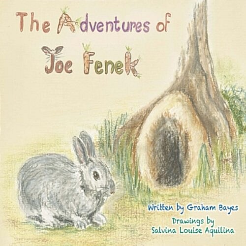 The Adventures of Joe Fenek (Paperback)