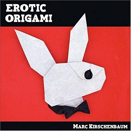 Erotic Origami (Paperback)