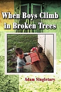 When Boys Climb in Broken Trees (Paperback)