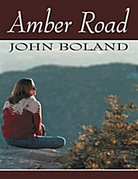 Amber Road (Paperback)