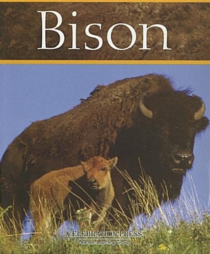 Bison (Paperback)