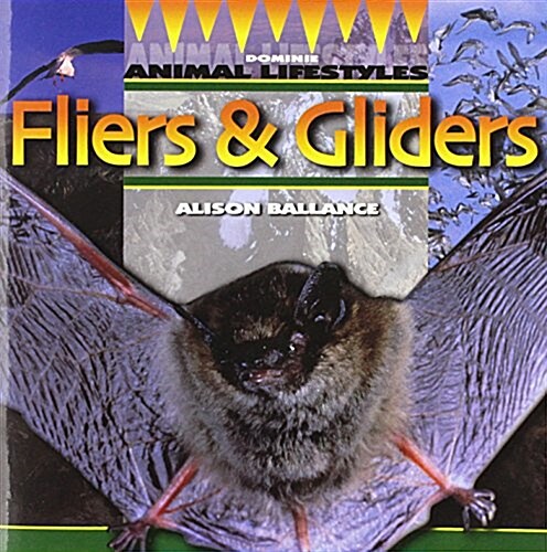 Fliers & Gliders (Paperback)