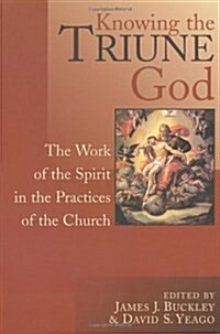 Knowing the Triune God: The Work of the Spirit in the Practices of the Church (Paperback)