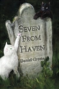 Seven from Haven (Paperback)