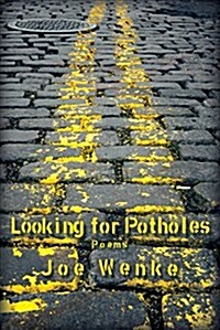 Looking for Potholes (Paperback)