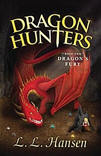 Dragon Hunters Dragons Fury (Paperback)